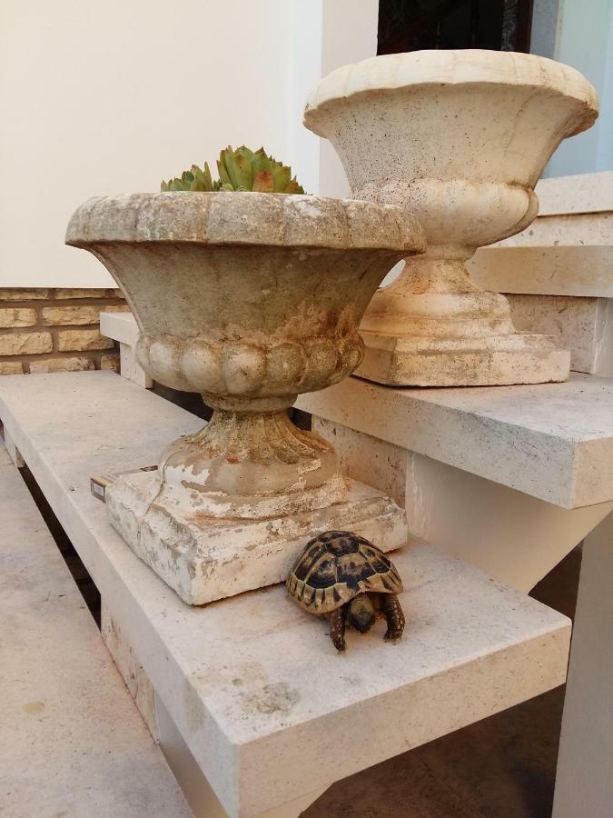 Villa Feodora Biograd Na Moru Ngoại thất bức ảnh